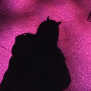 Meet your Posher, Marie